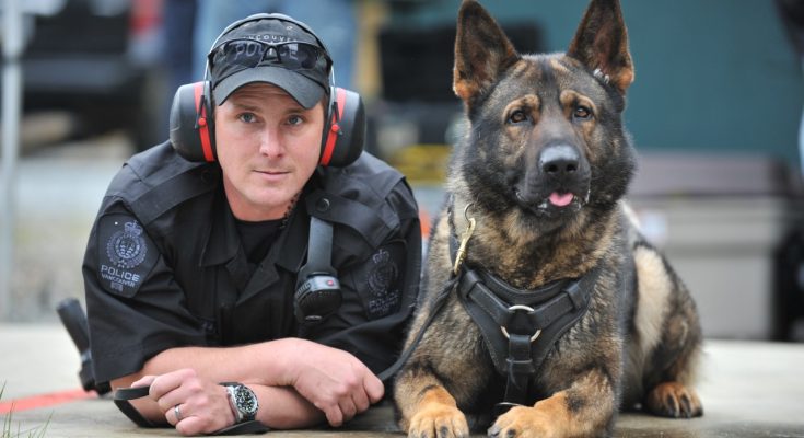 k9-with-freind-at-shooting-range-735x400